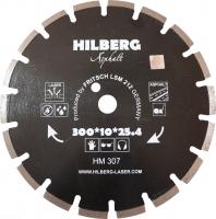 disk_po_asfaltu_hilberg_300