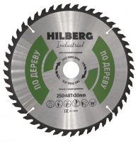 hw251_disk_pilnyy_seriya_hilberg_po_derevu_250-48t-30mm