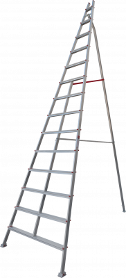 c00a31798fc97204c8e1638125c91e21