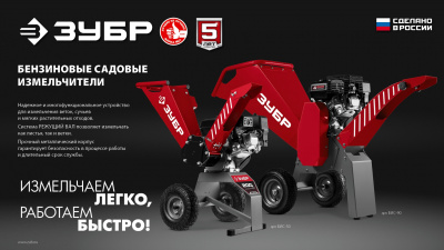 BIS_50_r1