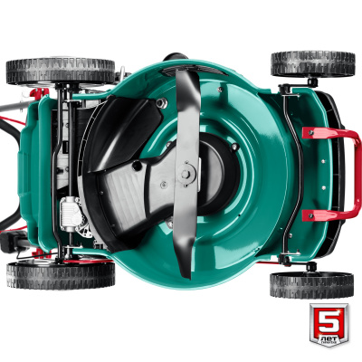 GBS_460_v11