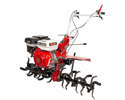 br-135ges-5.800x600w-1500x1200