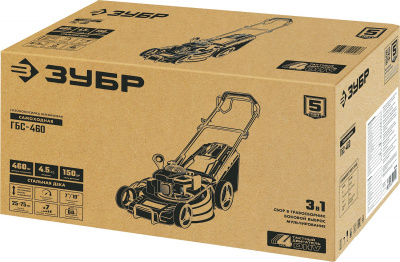 GBS_460_u