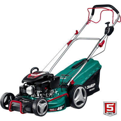 GBS_460_v8